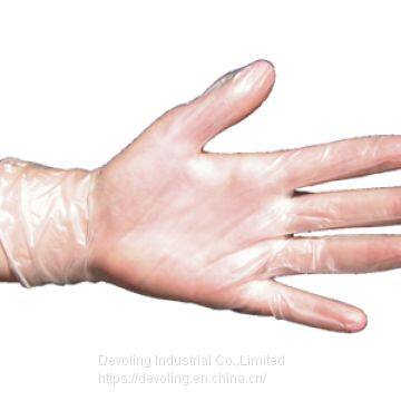 Disposable Vinyl Gloves