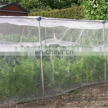 Plastic Vegetable Gardens Nets Resisting Cabbage Carrot Root Flys Aphids Thrips