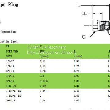 hex head pipe plug 5406P