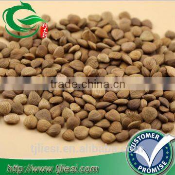 supply bitter almond not extract