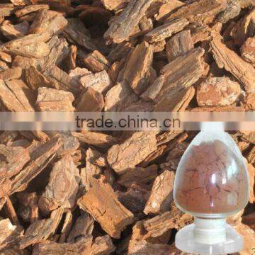 Pine Bark Extract