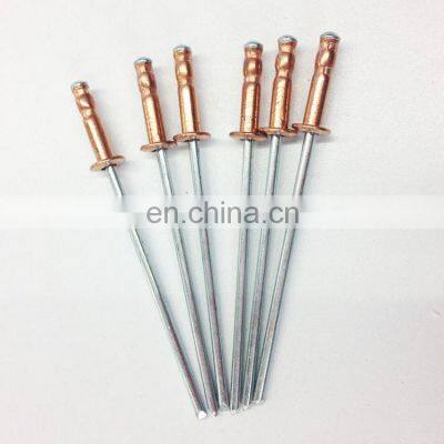 Aluminum Stainless Steel Large Head Blind Pop Rivets Colored photo-3