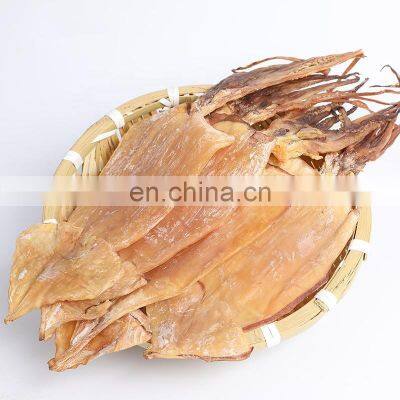 dried equator squid illex squid dry squid