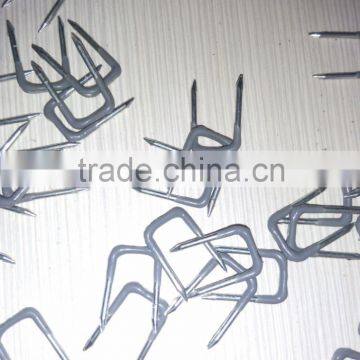 plastic-coated Shaped Nails China Supplies