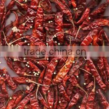 INDIA DRIED RED CHILI/with stem