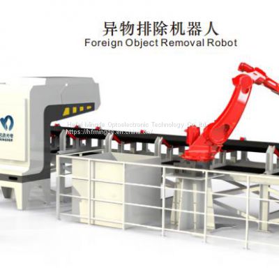 robotic manipulator  Material removal robot Foreign Object Removal Robot  Robot Arm