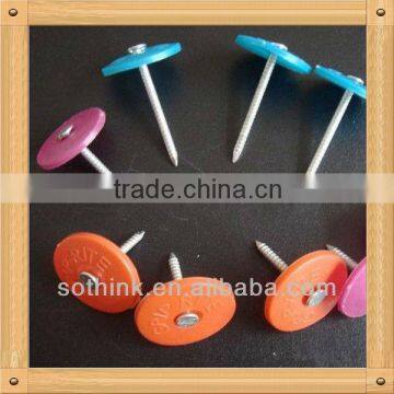 Plastic-head Cap Nails (competitive price)