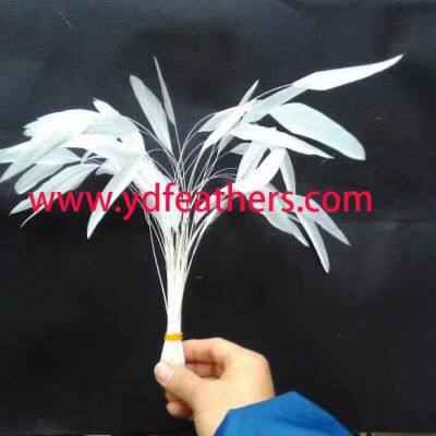 Stripped white Rooster Tail Feather For Wholesale From China