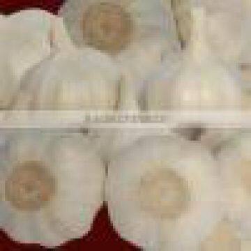 White Garlic,pure White Garlic