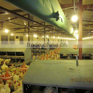 Complete Set Automatic Poultry Breeding Equipment for Chicken