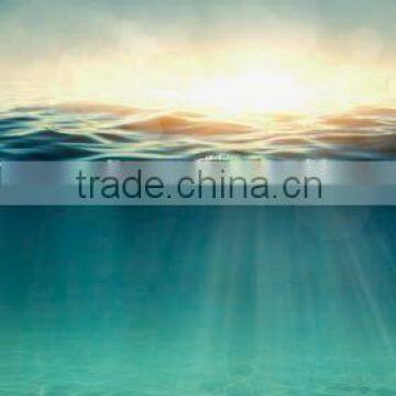 2016 New Prefab Shower Enclosures Ocean Sunrise 3D Digital Printing Glass Frameless and Accessories Available Villa Shower Room photo-3