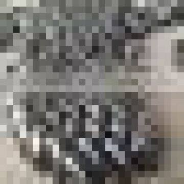 Alloy 20 Elbows Long Radius Alloy 20 Elbows Short Radius Alloy 20 Reducing Elbows Alloy 20 45 Deg Elbows