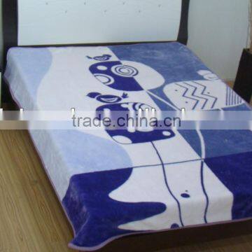 Hot selling New design polyester Raschel Blankets