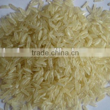 Artifical Rice Plant