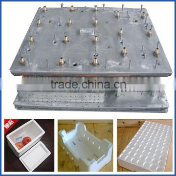 Expanded polystyrene mold/styrofoam mould/EPS foaming mould                        
                                                Quality Choice