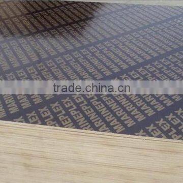 WBP glue, film faced plywood/shuttering plywood manufacturer