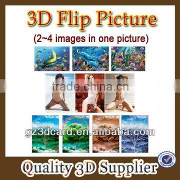 3D flip picture, 3D picture of art