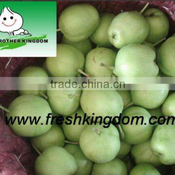 Chinese su pear