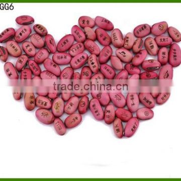 agent of magic growing message magic bean seeds Kidney Beans