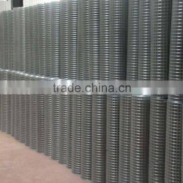 Free Sample Piece/304 Stainless Steel Wire Netting / AISI316 304 Welded Wire Mesh/SS Wire Mesh Filter photo-5