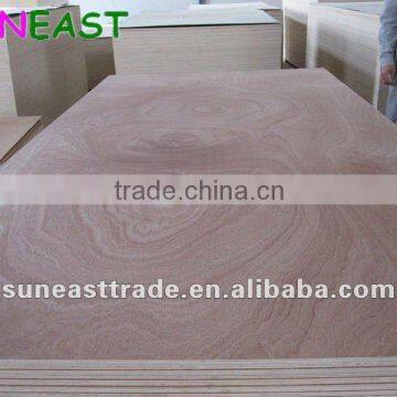 natural sapele fancy plywood