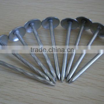 hot sales galvanized umbrella roofing nail (China factory)