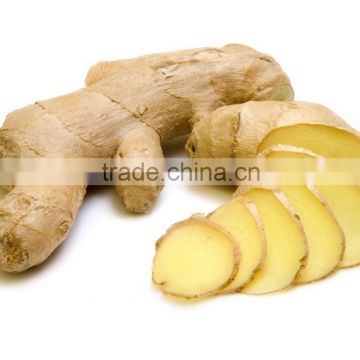 Frozen Whole Ginger for sale