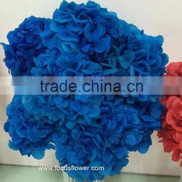 Home Choice Catalogue Fresh Preserved Flower Elegant Hydrangea For Party photo-5