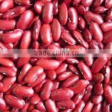 supplying CHINA red kidney beans