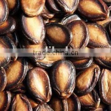 chinese new crop roasted black watermelon seeds