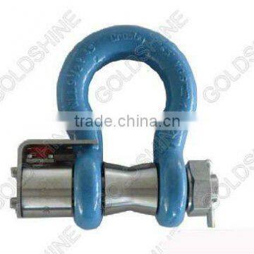 Series Shackle Load Pin