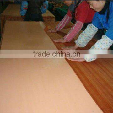 High Quality Directive Plywood