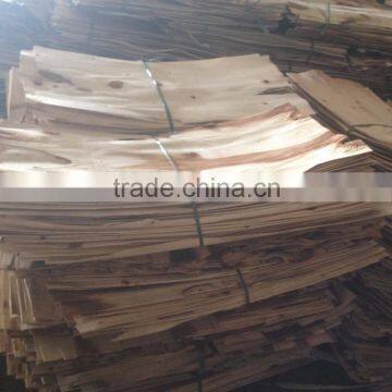 Core Veneer Industrial Drying photo-2