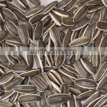sunflower seeds 5009