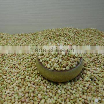 Chinese Best Raw Buckwheat Kernel photo-4