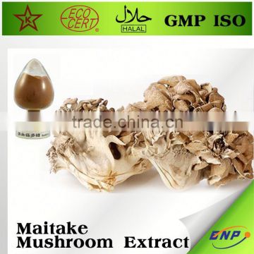 Natural Maitake Mushroom Plant Extract