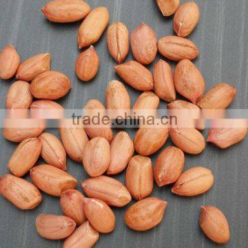 INDIAN PURE AND FRESH BOLD PEANUT