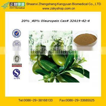 High Quality Olive Leaf Extract with Oleuropein from GMP Factory