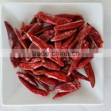 dry red chili
