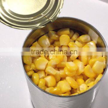 Best canned sweet corn from Vietnam - High quality & good price!