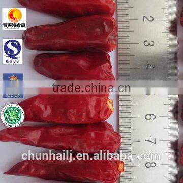 dried Bullet Chilli hot spicy high quality new crop