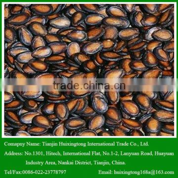 2015 New Crop Black Watermelon Seeds For Sale