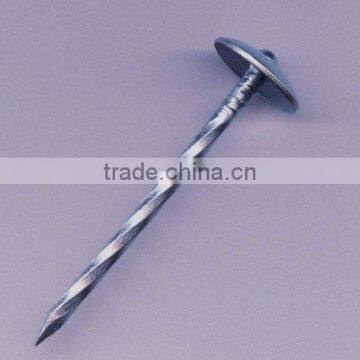 Umbrella Head Roofing Nails