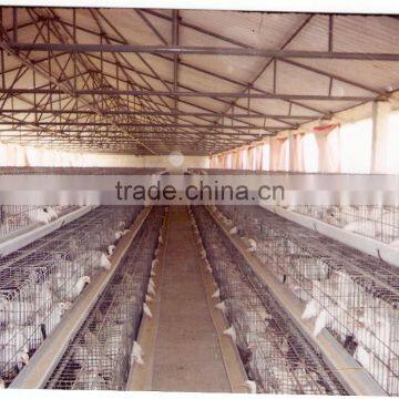 Poultry Equipments