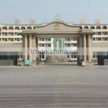 Tralin Paper Towel photo-4