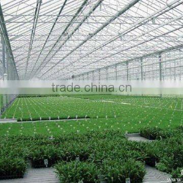 Light Frame Steel Structure Building for Greenhouse, Poultry Farm With Really Low Cost photo-4