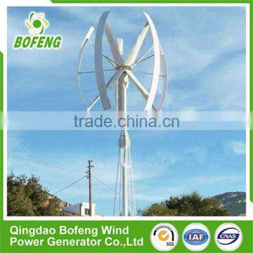 AAA Grade Durable Homemade 12v Vertical Axis Wind Generator Home photo-2