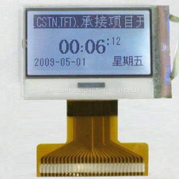 12864-55 - COG dot matrix lcd module