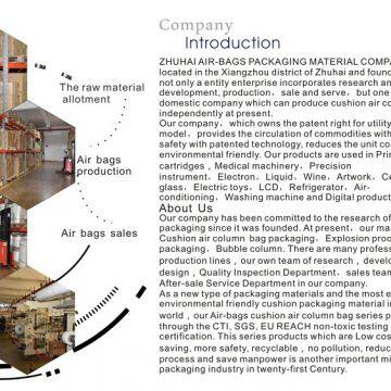 Zhuhai Air-Bags Packaging Material Co., Ltd. company overview - view 1