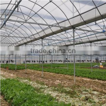 100% bayer reinforced plastic agriculture greenhouse for sale